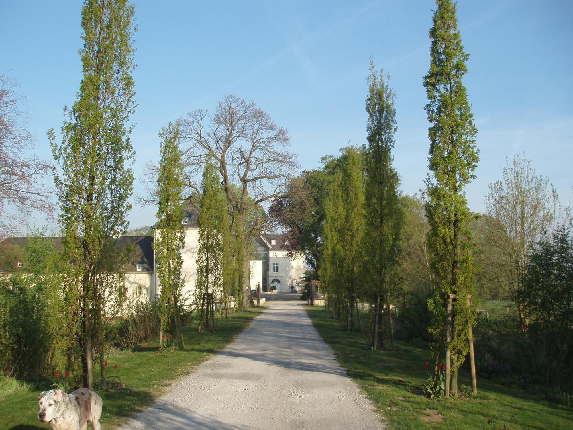 Burg Boetzelaer Hotel Kalkar Exterior foto